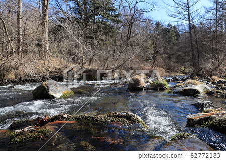 [Nagano Prefecture] Karuizawa Beautiful forest, water and sky 82772183