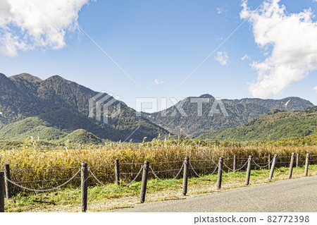 A straight road in Senjogahara 82772398