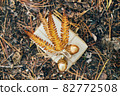 A gift wrapped in craft paper and decorated with dried fern leaves and glass acorns. 82772508