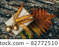 A gift wrapped in craft paper and decorated with dried fern leaves and glass acorns. 82772510