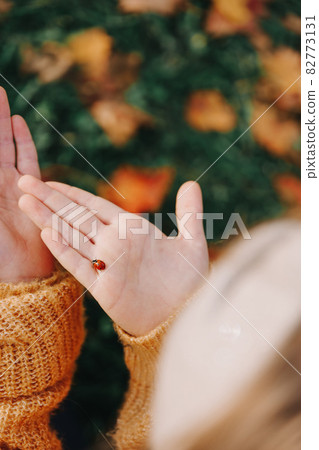 Red ladybug in kids hands on autumn background Red ladybug in kids hands on autumn background 82773131