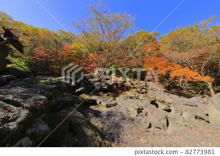 Hallasan Autumn Landscape, Maple Leaves, Fallen Leaves, Autumn, Landscape, Gwaneumsa Course, Climbing, Walking, Hallasan Autumn Landscape, Maple Leaves, Fallen Leaves, Autumn, Landscape, Gwaneumsa Course, Climbing, Walking, 82773981
