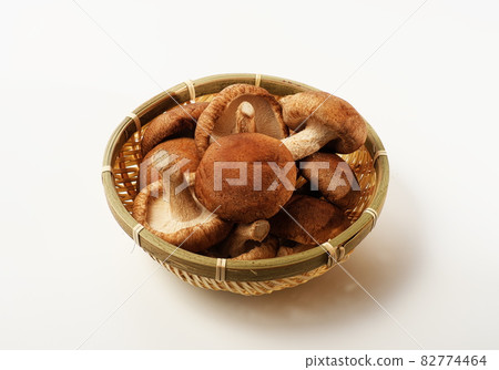 什塔克菇白色背景 82774464