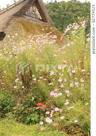 茅吹之裡的風景，田園詩般的宮山風景 82774525