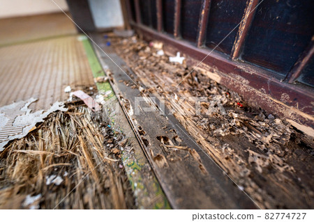 Aged house tatami mats and shikii 82774727