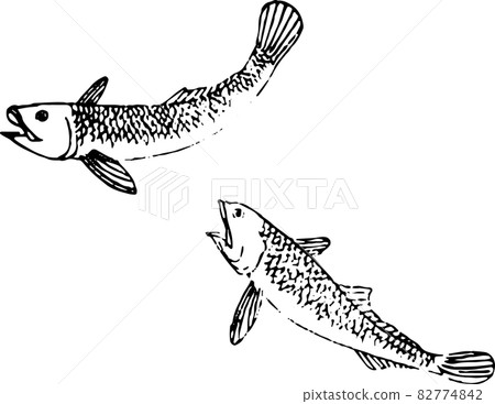 魚：伊薩 82774842