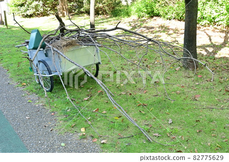 Rearcar and park maintenance 82775629