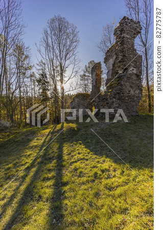 Chlum ruins from the 13th century near Zbysov, Central Bohemia, Czech Republic 82775787