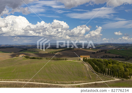 Typical Tuscan landscape in Val d'orcia, Italiy Typical Tuscan landscape in Val d'orcia, Italiy 82776234