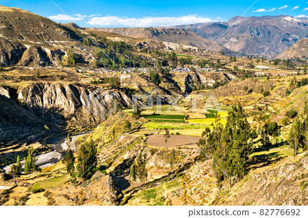Terraced fields within the Colca Canyon in Peru Terraced fields within the Colca Canyon in Peru 82776692