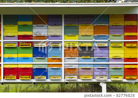 bee hive in Vipavska Dolina in Slovenia bee hive in Vipavska Dolina in Slovenia 82776828