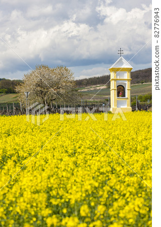 Gods torture near Retz, Austria Gods torture near Retz, Austria 82776943