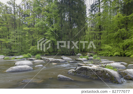 river Sazava near Smrcna, Czech Republic 82777077