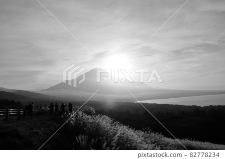 The sky dyed by the setting sun, the silhouette of Lake Yamanaka and Mt. Fuji, and pampas grass The sky dyed by the setting sun, the silhouette of Lake Yamanaka and Mt. Fuji, and pampas grass 82778234