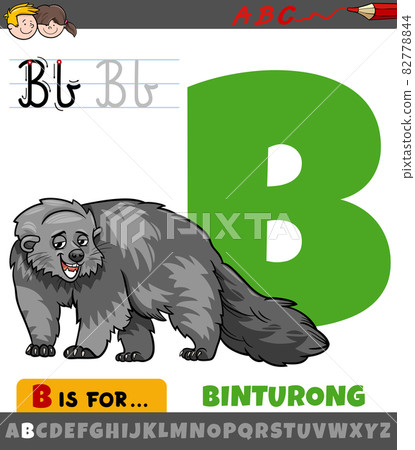 Letter B From Alphabet With Cartoon Binturong... - Stock Illustration ...