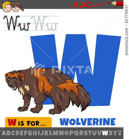 letter W from alphabet with cartoon wolverine animal character letter W from alphabet with cartoon wolverine animal character 82778847