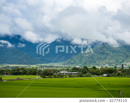 Green rice fields,white clouds, mountains in Hualien, Taiwan. 82779119