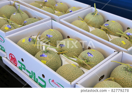 Andes melon sold in large quantities on the market Andes melon sold in large quantities on the market 82779278