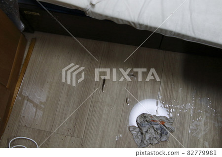 家庭水族館因 2021 年 10 月 7 日發生的地震而溢出（埼玉縣川口市） 82779981