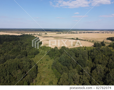 Green deciduous forest next to a farm field. Landscape from a bird's eye view. Sunny weather. 82782074
