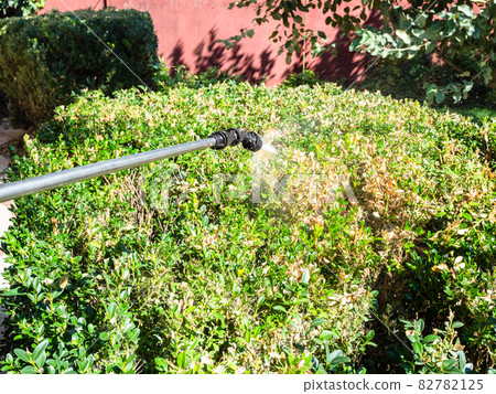 spraying diseased green hedge with pesticide spraying diseased green hedge with pesticide 82782125