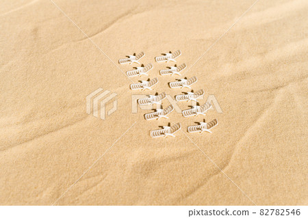 Aerial view of many sunbed, lounge on  private sandy beach. Summer and travel concept. Minimalism 82782546
