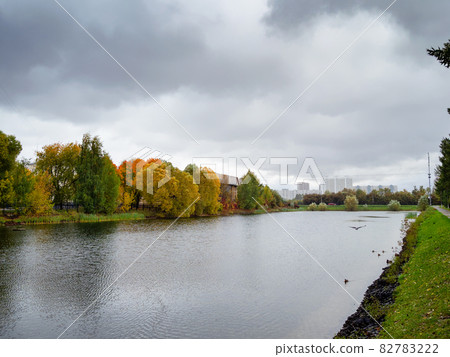 picturesque pond in Moscow city on overcast day 82783222