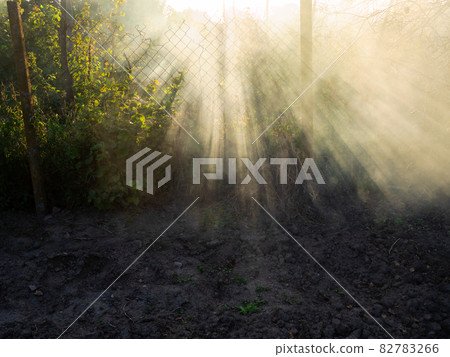 sunbeams in smoke from burning plants over garden sunbeams in smoke from burning plants over garden 82783266
