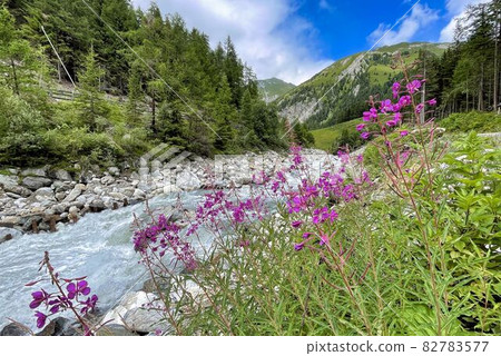 wanderpath in the rocks near a wild river 82783577