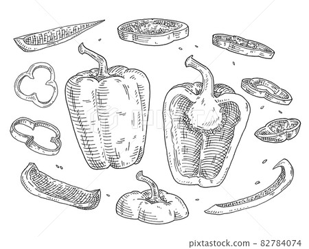 Sweet bell pepper different slices. Vintage hatching black illustration. Sweet bell pepper different slices. Vintage hatching black illustration. 82784074