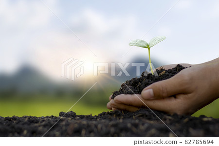 Plants on soil with human hands and blurry green nature background concept to conserve the environment and natural resources. 82785694