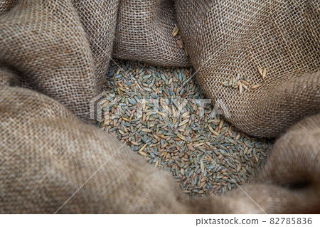 millet among sacks close up toned gray, mill design millet among sacks close up toned gray, mill design 82785836