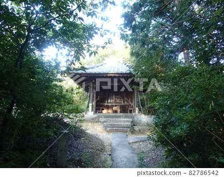 里山 里山 82786542