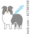 Border collie hitting an injection 82786598