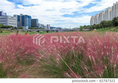 Anyangcheon Anteo Ecological Park, White-dong, Gwangmyeong-si, Gyeonggi-do Anyangcheon Anteo Ecological Park, White-dong, Gwangmyeong-si, Gyeonggi-do 82787322