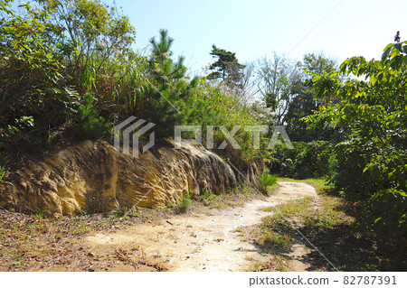 Scenery of Sagakei promenade. Miyato Suiyama, Higashimatsushima City, Miyagi Prefecture. Scenery of Sagakei promenade. Miyato Suiyama, Higashimatsushima City, Miyagi Prefecture. 82787391