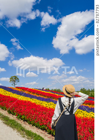 Biei · Four Seasons Ayano no Oka 82787793