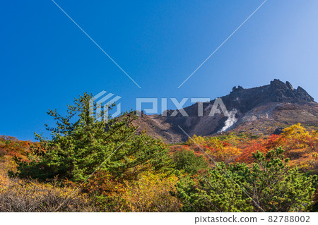 (Tochigi Prefecture) Mt. Chausu, looking up from Mt. 82788002