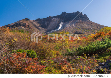 (Tochigi Prefecture) Mt. Chausu, looking up from Mt. 82788007