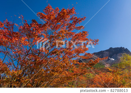 (Tochigi Prefecture) Mt. Chausu, looking up from Mt. 82788013