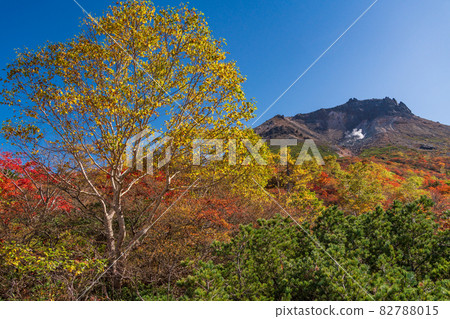 (Tochigi Prefecture) Mt. Chausu, looking up from Mt. 82788015