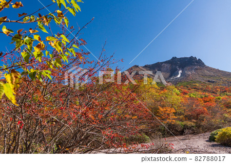 (Tochigi Prefecture) Mt. Chausu, looking up from Mt. 82788017