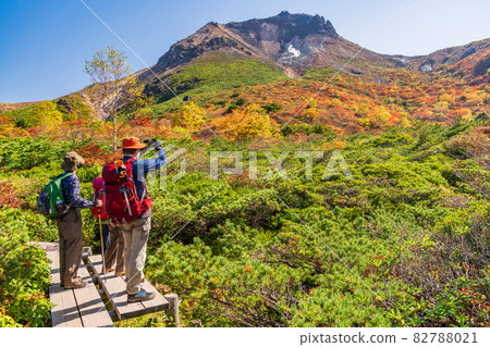(Tochigi Prefecture) Mt. Chausu, looking up from Mt. 82788021