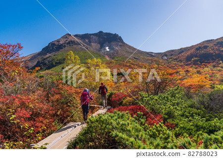 （櫪木縣）Chausu山，從山上仰望。 82788023
