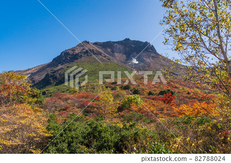 (櫪木縣)Chausu山,從山上仰望。 (櫪木縣)Chausu山,從山上仰望。 82788024