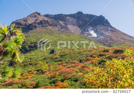 (Tochigi Prefecture) Mt. Chausu, looking up from Mt. (Tochigi Prefecture) Mt. Chausu, looking up from Mt. 82788027