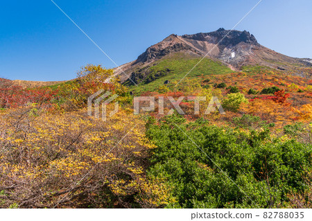 (Tochigi Prefecture) Mt. Chausu, looking up from Mt. 82788035