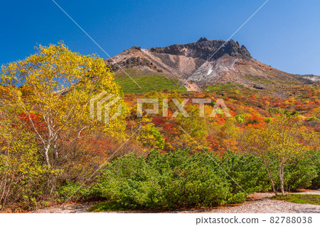 (Tochigi Prefecture) Mt. Chausu, looking up from Mt. (Tochigi Prefecture) Mt. Chausu, looking up from Mt. 82788038