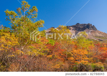 (Tochigi Prefecture) Mt. Chausu, looking up from Mt. 82788043