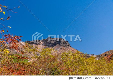 (Tochigi Prefecture) Mt. Chausu, looking up from Mt. 82788044